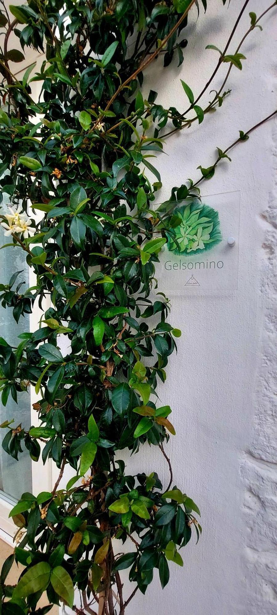 Mirum Apuliae Alberobello Zewnętrze zdjęcie